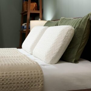 Tempur-Pedic TEMPUR-Cloud standard pillow — soft memory foam bedside pillow with washable cover