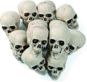 spooky decor set Fun Express 12-pack realistic 5-inch skulls for Halloween
