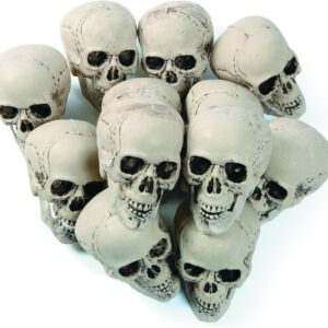 spooky decor set Fun Express 12-pack realistic 5-inch skulls for Halloween
