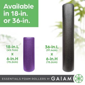 muscle recovery tool Gaiam high-density foam roller