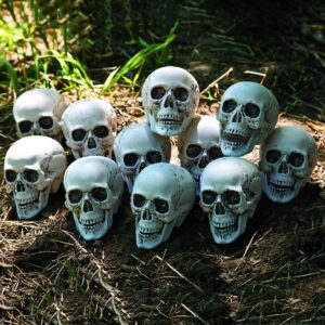 spooky decor set Fun Express 12-pack realistic 5-inch skulls for Halloween