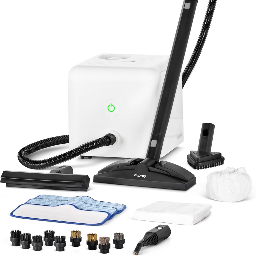 Dupray Neat Steam Cleaner
